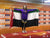 Sarra Lajnef takes gold at Fina World Masters Swim Championships